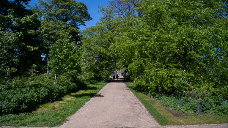 A gravel path in the centre of images is framed by lush green trees and bright blue sky in the background.